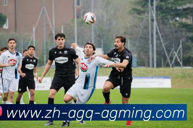 AG娱乐登录发展历程