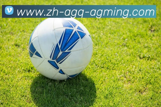 CBA主帅谈北京足球队现状，跨界看法引热议