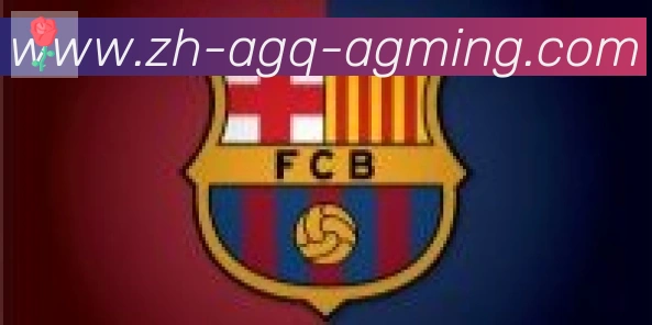 AG娱乐登录合作伙伴